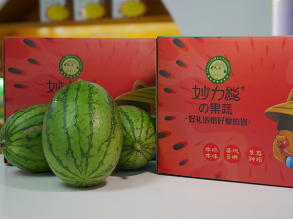 山东淄博龙贯西瓜种植棚
