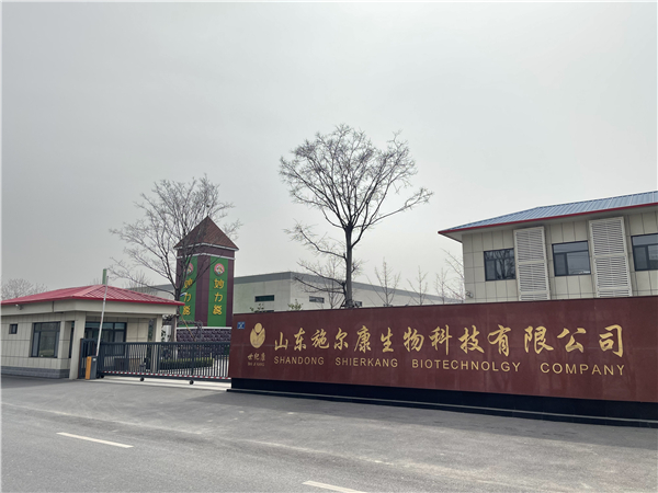 大门